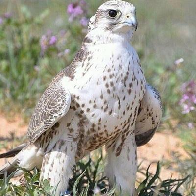 ادعوا الله ان يفتح لكم ابوب رحمته فلا تقلق عنكم أبداً وان يرزقكم عاجل الخير وآجله وأن يغفر لكم ولوالديكم وآحبتكم