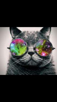 Mix artist, EDM addict, and random posts