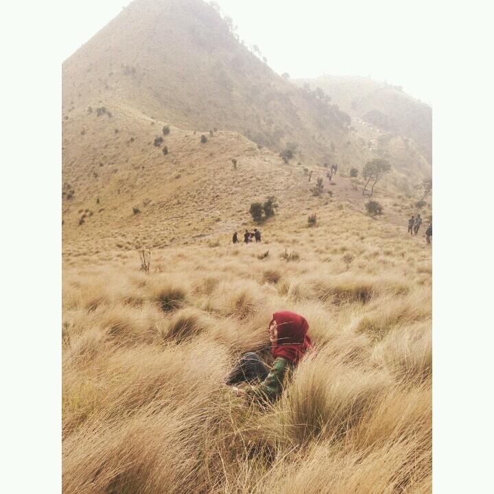 evyvyevy's profile picture. Mining Engineering of Trisakti University 2011|GGMU|