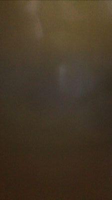 mamo_papa's profile picture. 新しい方へよろしく