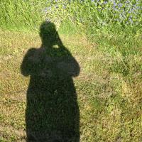 M-L Ankersson (@mimmi4) 's Twitter Profile