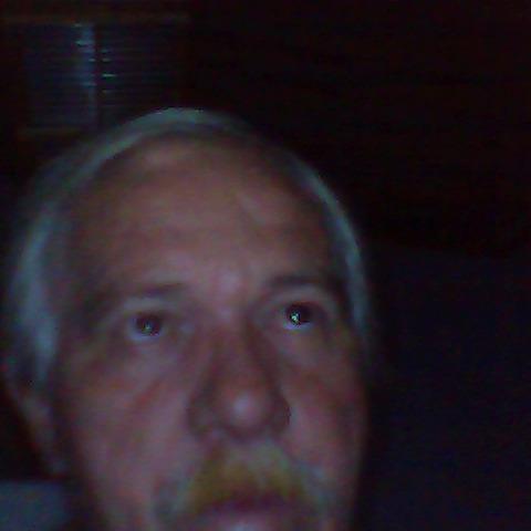 luiz2013amaral's profile picture. 