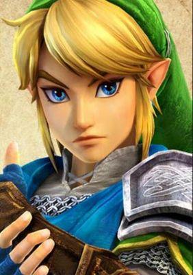 I am Link, hero of hyrule, I will stop at nothing to keep this land safe from whatever evil may strike.