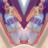 lavena_rebe's profile image