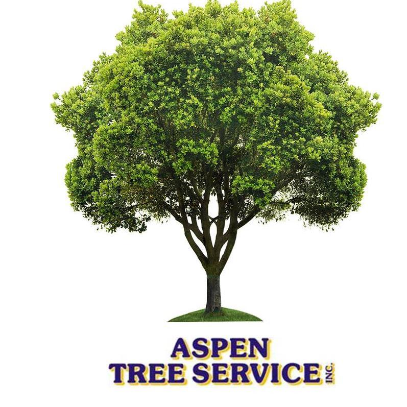 Aspen Tree Service est. in 1982 is a full service tree, plant health and lawn care company based in Carbondale, Colorado and serving the Roaring Fork Valley.