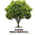 Aspen Tree Service (@aspentreeserv) Twitter profile photo