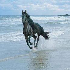 maalilife's profile picture. 