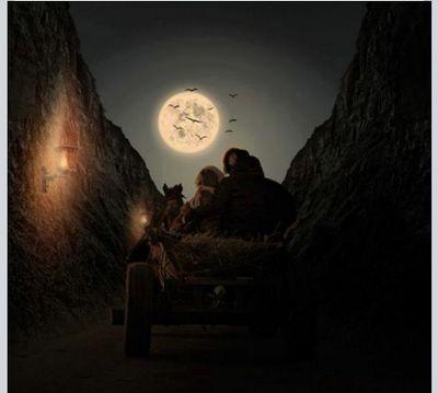 hama_kawa3's profile picture. 