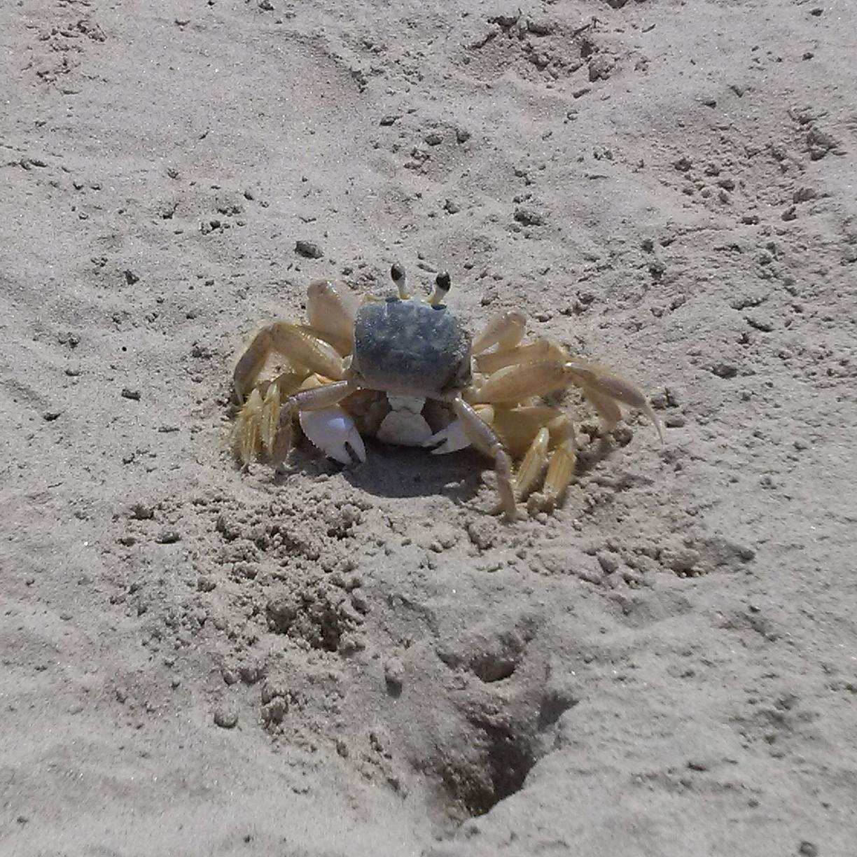 Verónica Plaza Profile