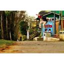 arno botha - @arnobothaDF - Twitter