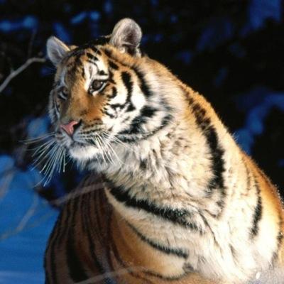 VanishClanHD's profile picture. I Love Soccer!❤️ Rain❤️ Jev❤️