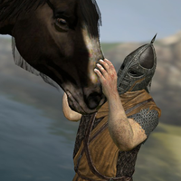 Whiterun Guard (@whiterun4ever) 's Twitter Profile
