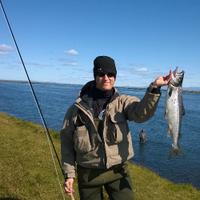 Palmi (@palmigunn) 's Twitter Profile