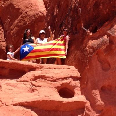 jornet_lluis's profile picture. 