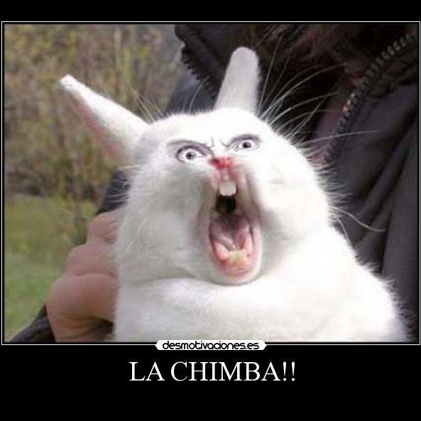 tattoo y musica prx100