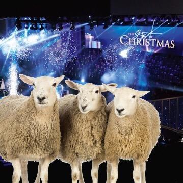 Updates from your favorite cast members of the Gift of Christmas!