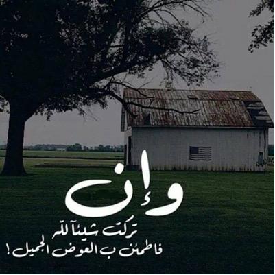 Inst:mohmdlouy.7




ID : i__MeM