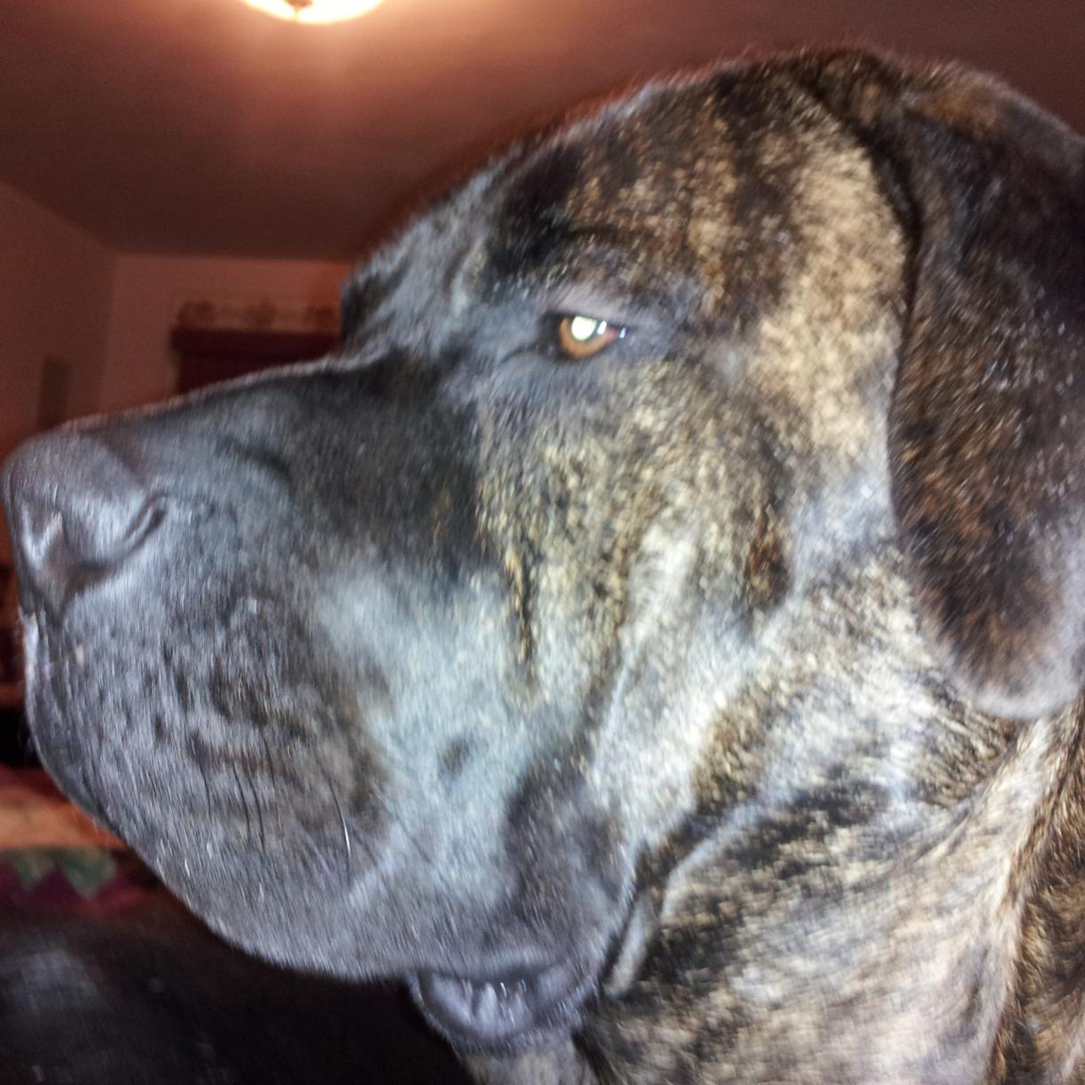 ThomasPSully's profile picture. 