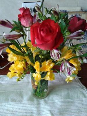 solcito2810's profile picture. 