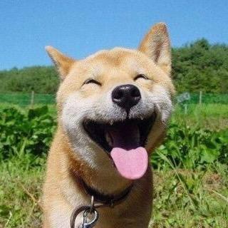 超かわいい動物画像 Rce4zyivxy65efs Twitter 超かわいい動物画像 Rce4zyivxy65efs Twitter