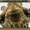 Beth Ann Bowman - @babow - Twitter