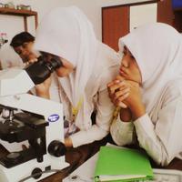 dhieena_and (@nhashieputrishu) 's Twitter Profile