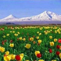 zorwen (@zorwenserhat) 's Twitter Profile