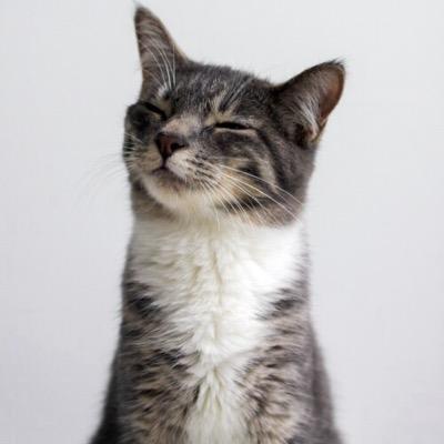 Paularodal24's profile picture. The only limit is the one you set yourself