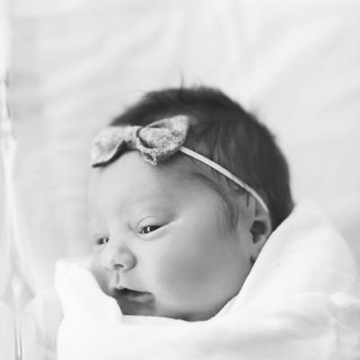 carcondie's profile picture. 