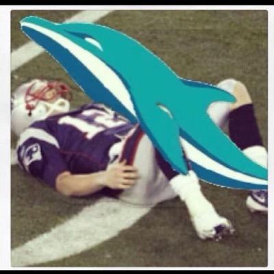 miamimikew's profile picture. 