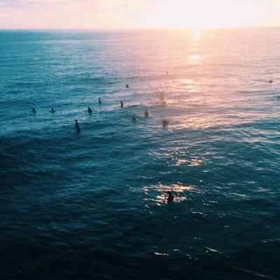 grooovygilinsky's profile picture. 