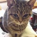 Daniel Wilkey - @wilkey02 - Twitter