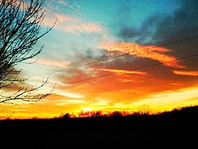 DentonLou's profile picture. 