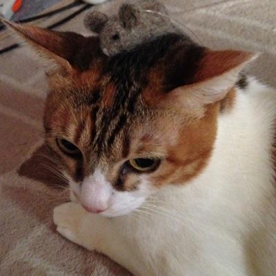 ミツヤ@おやすみ