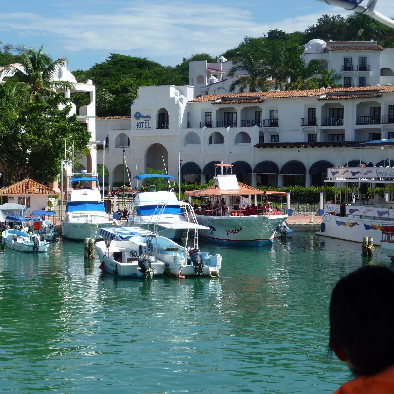 Venada47's profile picture. 