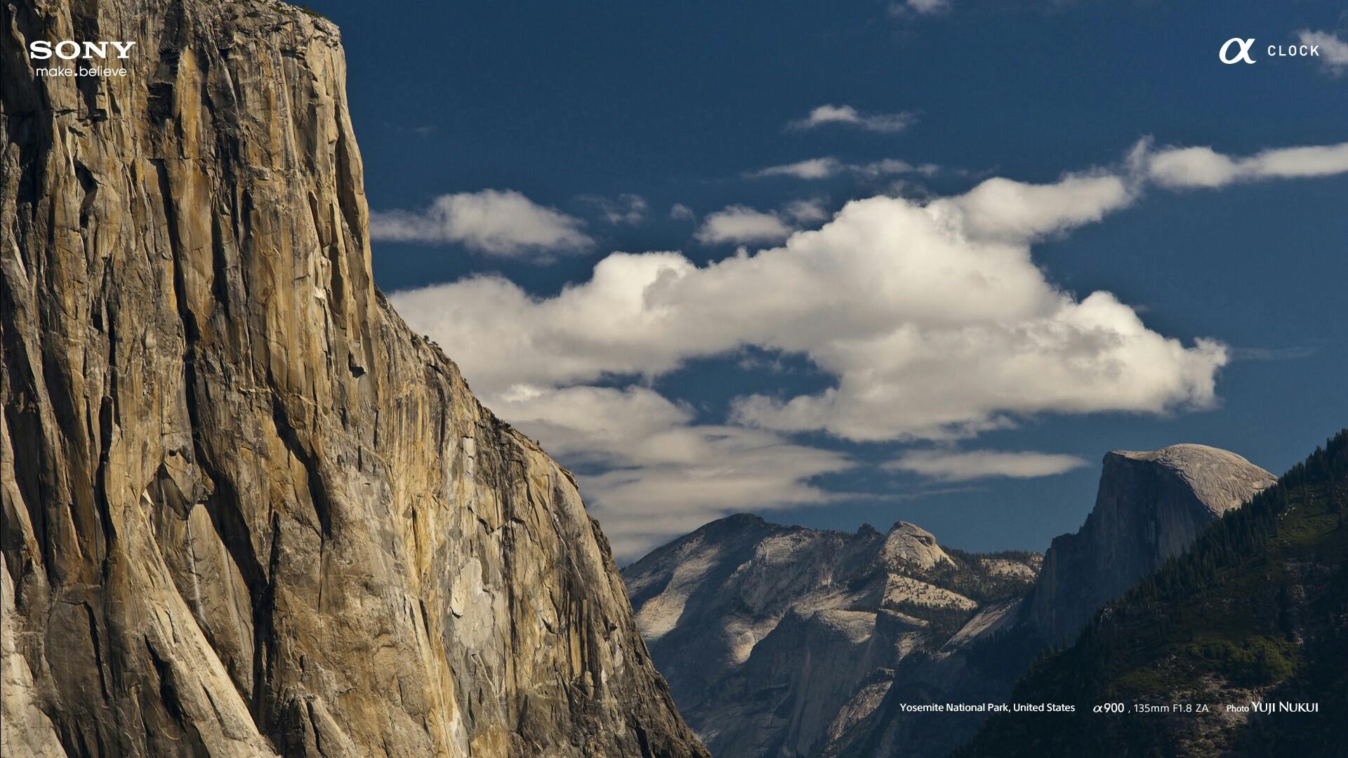 comandantepolic's profile picture. 