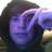 DerekHawess's profile image