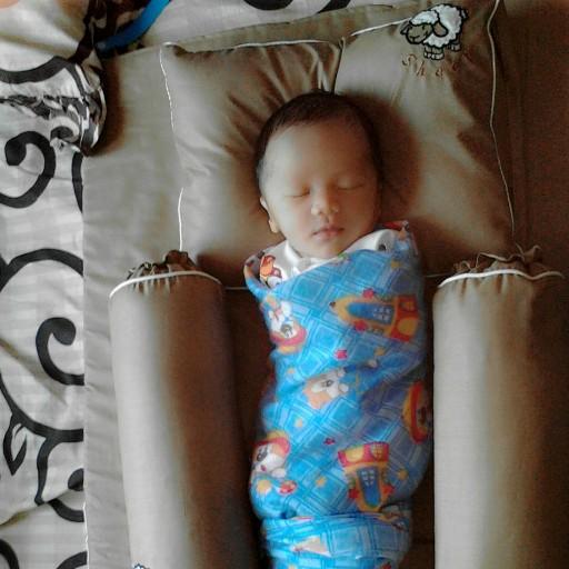 LapLiep's profile picture. a little eccentric, very high spirited.