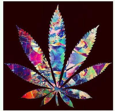 Why drink and drive when you can smoke and fly....
