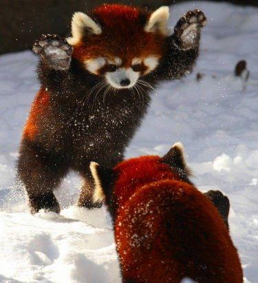 Love.   Dance.   Music.    Hello people ^-^