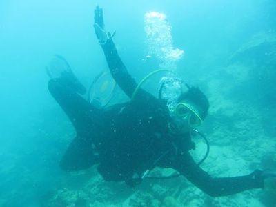 FaberRonson's profile picture. archipelago nusantara