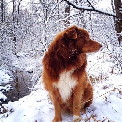 PicturesCountry's profile picture. All pictures taken by me and only me young photographer 16 years old. Love the country of Illinois. Started 11/5/14