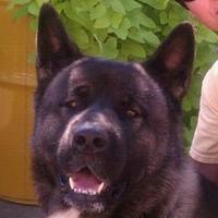 David A Dost (@daviddost01) 's Twitter Profile Photo David A Dost (@daviddost01) 's Twitter Profile Photo