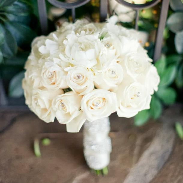 MestreCalen's profile picture. 