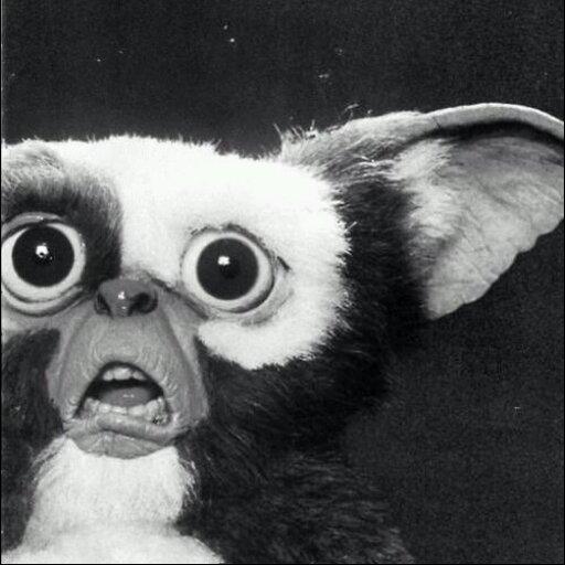 RoOACh_PunK's profile picture. Amante del rock y de mi vecina, corazón azul y oro.