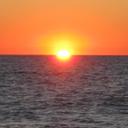 Paulette Ball - @pball2626 - Twitter