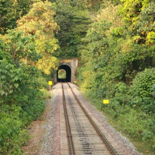 shivaraja13's profile picture. 