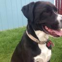 Carrie Patton - @cpatton9808 - Twitter