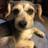 SteveThompson62's profile image