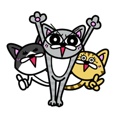 11cats 1 11cats Plus1 Twitter 11cats 1 11cats Plus1 Twitter